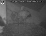 Capi_Dubne_20250412_020002.jpg