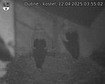 Capi_Dubne_20250412_035502.jpg