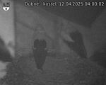 Capi_Dubne_20250412_040002.jpg