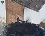 Capi_Dubne_20250412_085003.jpg