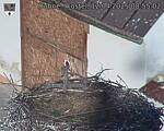 Capi_Dubne_20250412_085502.jpg