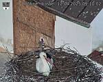 Capi_Dubne_20250412_091002.jpg