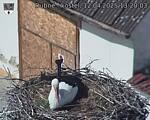 Capi_Dubne_20250412_132003.jpg