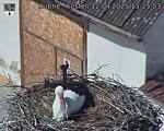 Capi_Dubne_20250412_132503.jpg