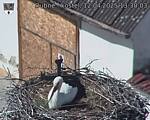 Capi_Dubne_20250412_133004.jpg
