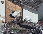 Capi_Dubne_20250412_135502.jpg