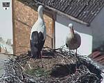 Capi_Dubne_20250412_140503.jpg