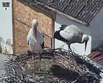 Capi_Dubne_20250412_141503.jpg