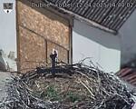Capi_Dubne_20250412_144002.jpg