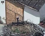 Capi_Dubne_20250412_145502.jpg