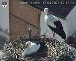 Capi_Dubne_20250412_171502.jpg