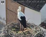 Capi_Dubne_20250412_181504.jpg