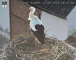 Capi_Dubne_20250412_185504.jpg