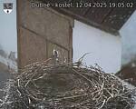 Capi_Dubne_20250412_190502.jpg
