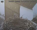 Capi_Dubne_20250412_192502.jpg