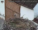 Capi_Dubne_20250412_194502.jpg