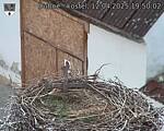 Capi_Dubne_20250412_195002.jpg