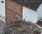 Capi_Dubne_20250412_195503.jpg