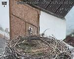 Capi_Dubne_20250412_200002.jpg