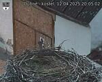 Capi_Dubne_20250412_200502.jpg