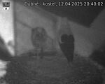 Capi_Dubne_20250412_204002.jpg