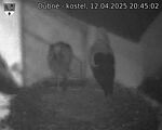 Capi_Dubne_20250412_204502.jpg