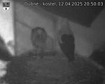 Capi_Dubne_20250412_205003.jpg