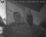 Capi_Dubne_20250412_211003.jpg