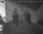 Capi_Dubne_20250412_211502.jpg