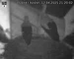 Capi_Dubne_20250412_212002.jpg