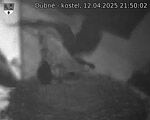 Capi_Dubne_20250412_215002.jpg