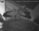 Capi_Dubne_20250412_215503.jpg