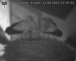 Capi_Dubne_20250412_220502.jpg