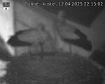 Capi_Dubne_20250412_221502.jpg