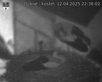 Capi_Dubne_20250412_223002.jpg