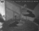 Capi_Dubne_20250412_224002.jpg