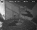 Capi_Dubne_20250412_224503.jpg