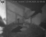 Capi_Dubne_20250412_225502.jpg