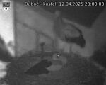 Capi_Dubne_20250412_230003.jpg