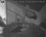 Capi_Dubne_20250412_230502.jpg
