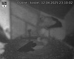 Capi_Dubne_20250412_231002.jpg