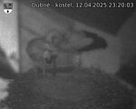 Capi_Dubne_20250412_232003.jpg