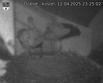 Capi_Dubne_20250412_232502.jpg