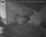 Capi_Dubne_20250412_234002.jpg