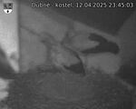 Capi_Dubne_20250412_234503.jpg