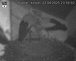 Capi_Dubne_20250412_235002.jpg