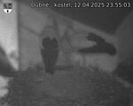 Capi_Dubne_20250412_235503.jpg