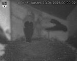 Capi_Dubne_20250413_000002.jpg