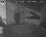 Capi_Dubne_20250413_000502.jpg