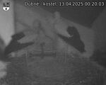 Capi_Dubne_20250413_002003.jpg
